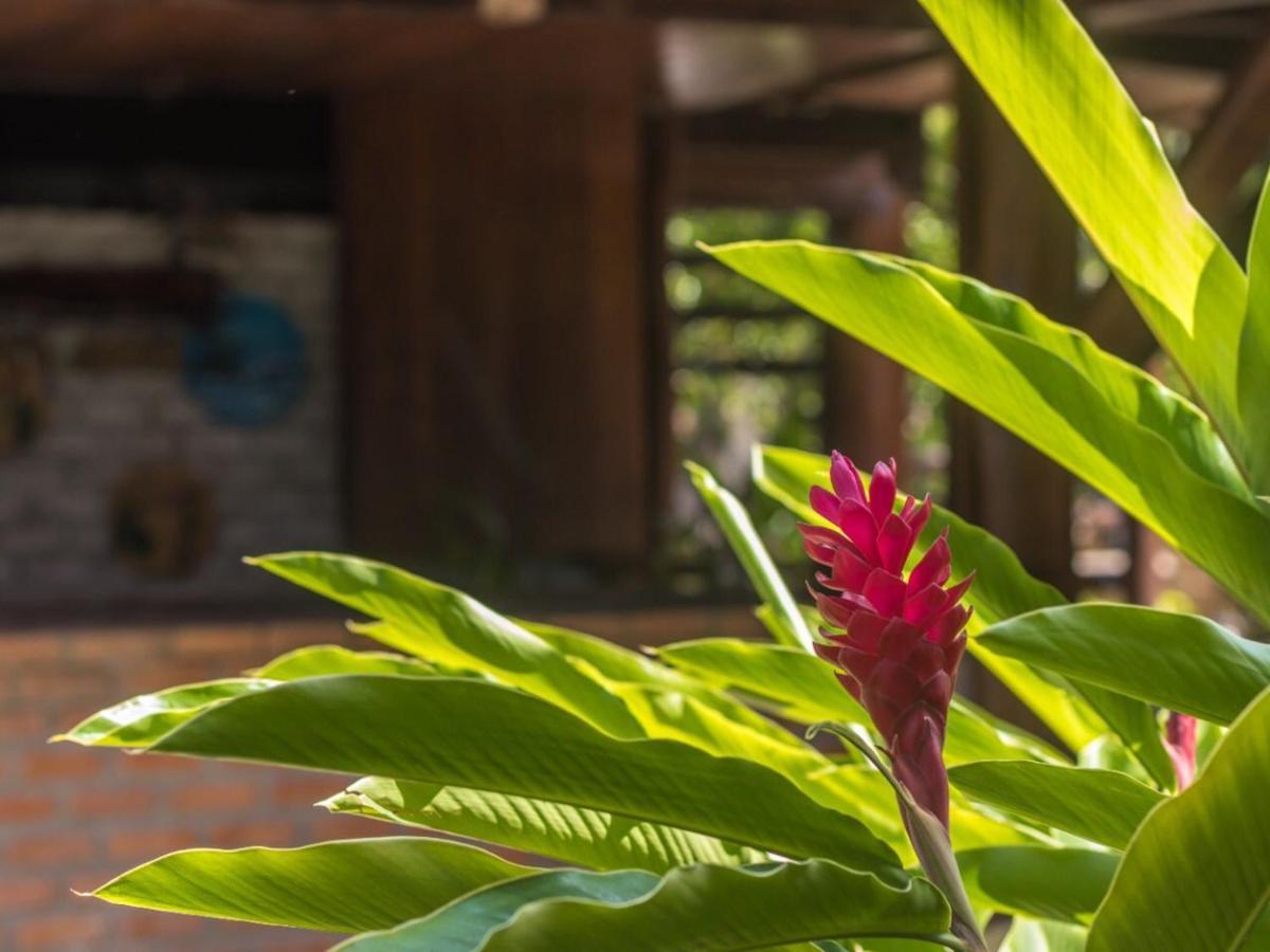 Numar Tubarao Pousada - Barra Grande Barra Grande  Eksteriør billede